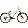 Bulls Duro DJ Dirtbike Pumptrackbike 26"