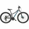 Bulls Raptor Disc Jugend Mountainbike 26"