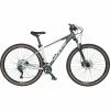 Bulls Copperhead 1 Hardtail 29"