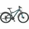 Bulls Racer Street Mountainbike Hardtail 29" - Blau Schwarz