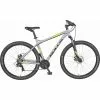 Bulls Raptor Disc Mountainbike Hardtail 29"