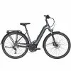 Bulls Lacuba Evo 10 E-Bike Trekkingbike Wave