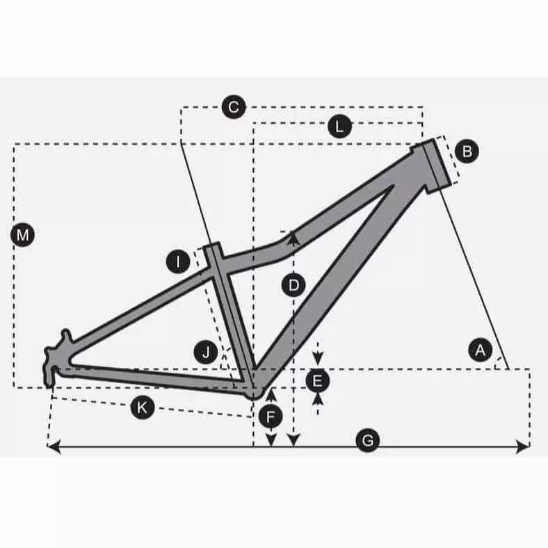 Scott Scale 24 Disc Jugendfahrrad 24" 3 Scott Scale 24 Disc Jugendfahrrad 24" – Bild 3