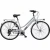 Tecnobike Coolgrey Citybike 28"